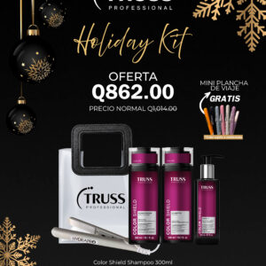 Color Shield Holiday Kiy